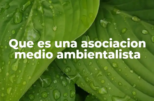 Que es una Asociacion Medio Ambientalista 2 La importancia de la participación ciudadana en la protección ambiental