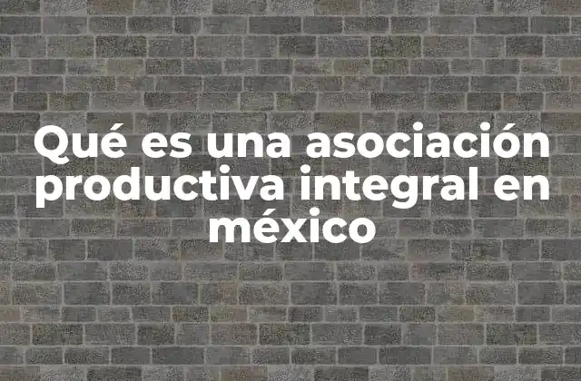 Qué es una Asociación Productiva Integral en México