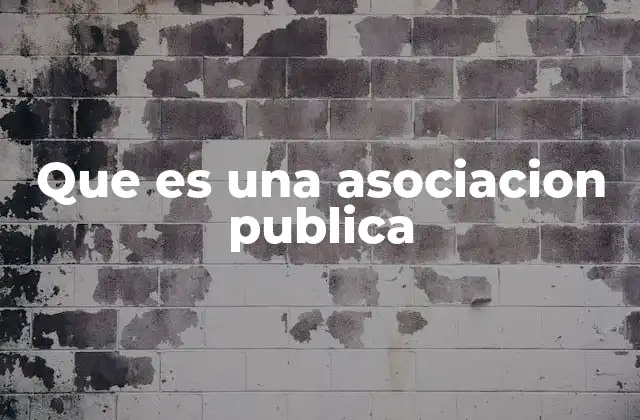 Que es una Asociacion Publica