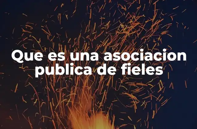 Que es una Asociacion Publica de Fieles