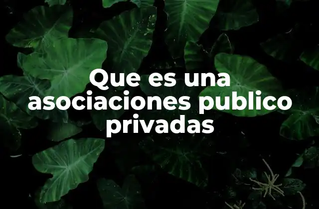 Que es una Asociaciones Publico Privadas 2 La importancia de unir fuerzas para el desarrollo sostenible
