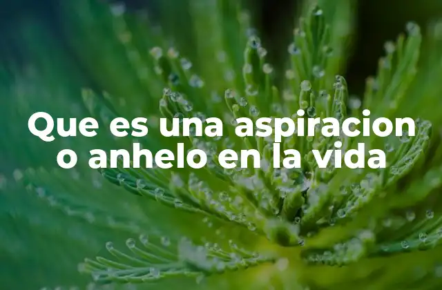 Que es una Aspiracion o Anhelo en la Vida