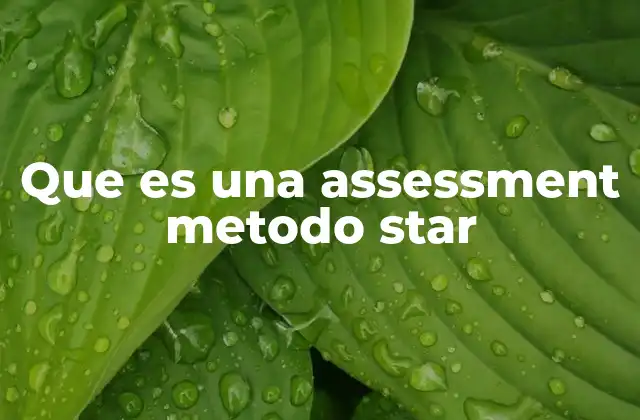 Que es una Assessment Metodo Star