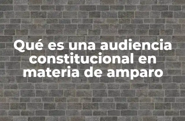 Qué es una Audiencia Constitucional en Materia de Amparo