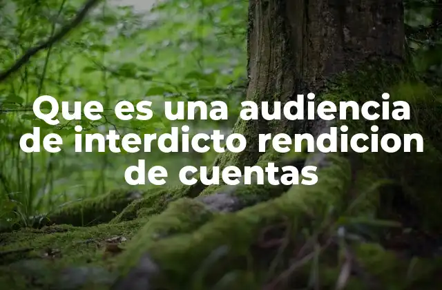 Que es una Audiencia de Interdicto Rendicion de Cuentas