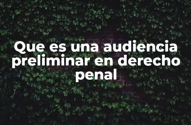 Que es una Audiencia Preliminar en Derecho Penal