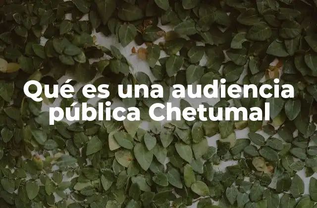 Qué es una Audiencia Pública Chetumal