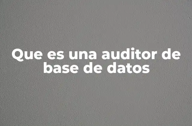 Que es una Auditor de Base de Datos