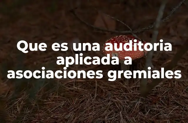 Que es una Auditoria Aplicada a Asociaciones Gremiales