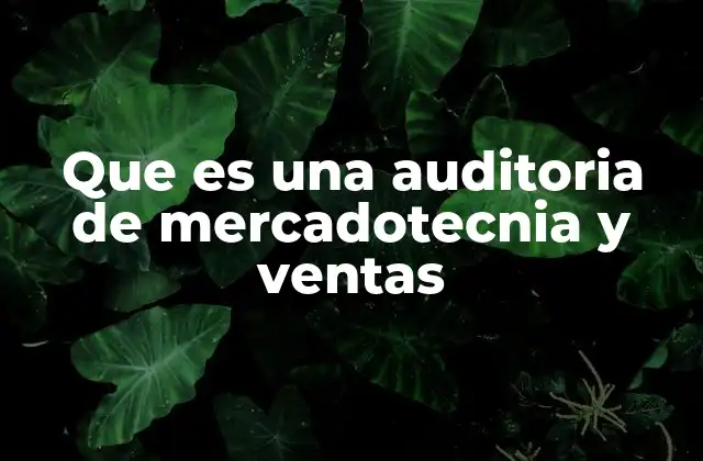 Que es una Auditoria de Mercadotecnia y Ventas