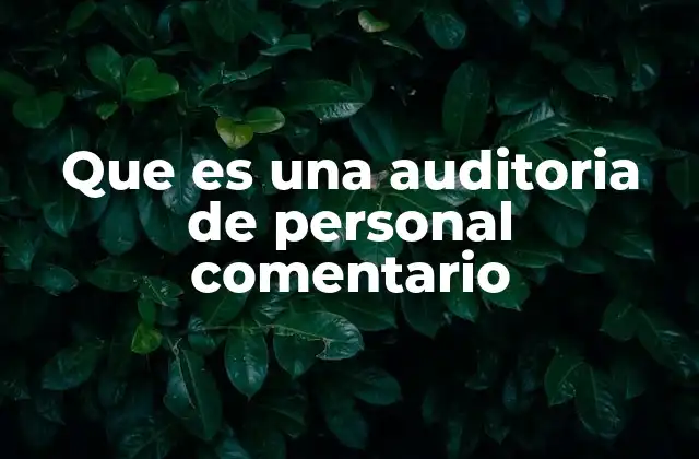 Que es una Auditoria de Personal Comentario