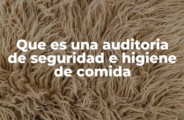 Que es una Auditoria de Seguridad e Higiene de Comida