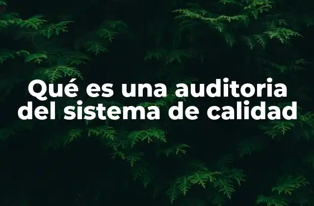Qué es una Auditoria Del Sistema de Calidad