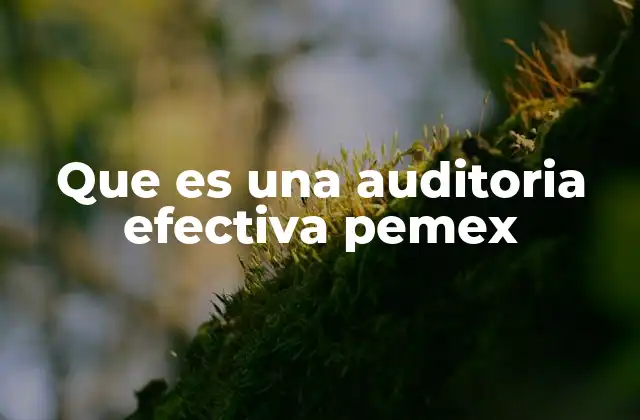 Que es una Auditoria Efectiva Pemex