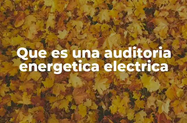 Que es una Auditoria Energetica Electrica