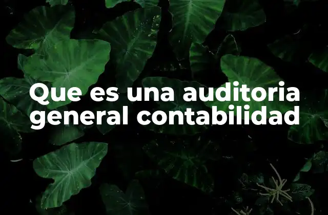Que es una Auditoria General Contabilidad