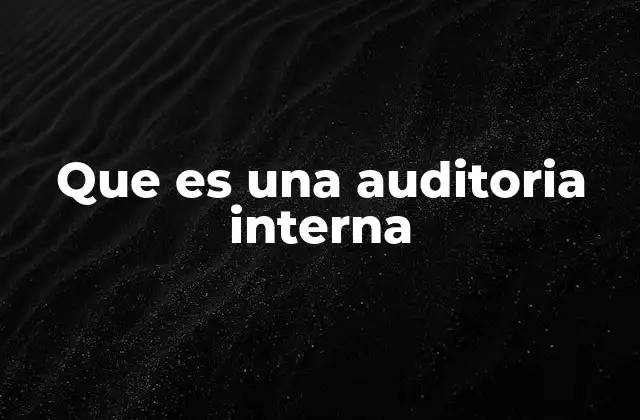 Que es una Auditoria Interna