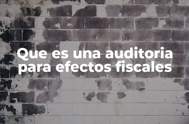 Que es una Auditoria para Efectos Fiscales