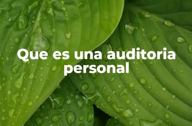 Que es una Auditoria Personal