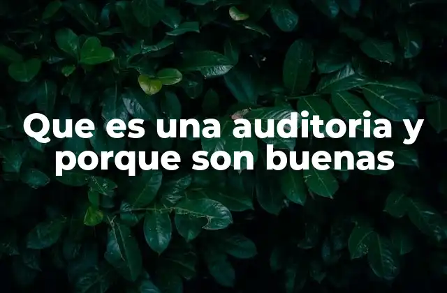 Que es una Auditoria y Porque Son Buenas