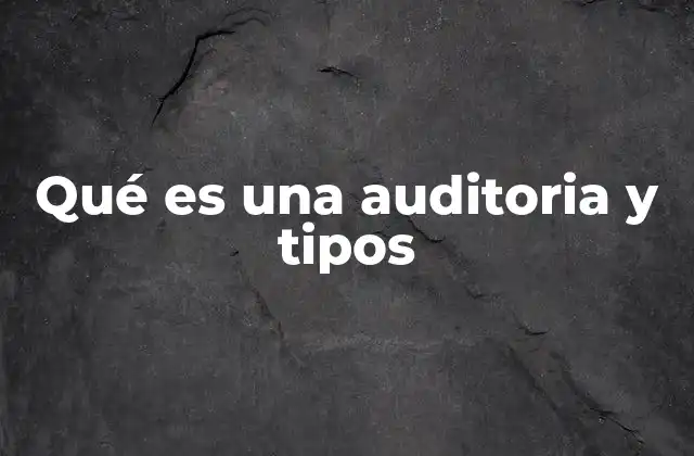 Qué es una Auditoria y Tipos