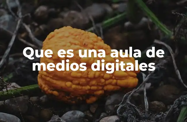 Que es una Aula de Medios Digitales