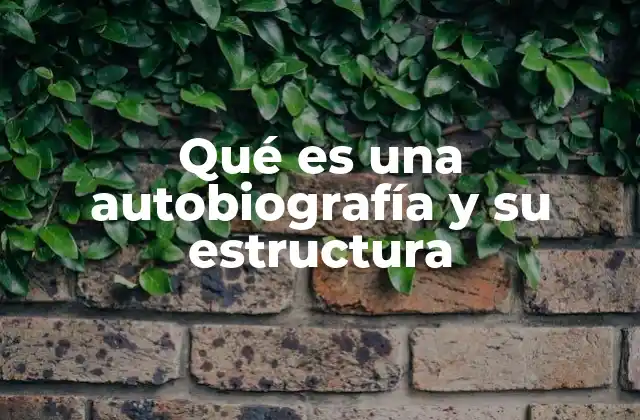 Qué es una Autobiografía y Su Estructura