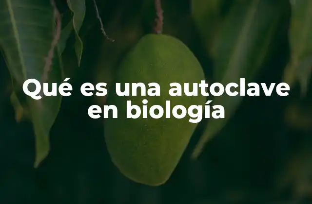 Qué es una Autoclave en Biología