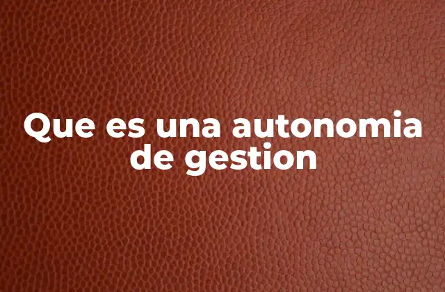 Que es una Autonomia de Gestion