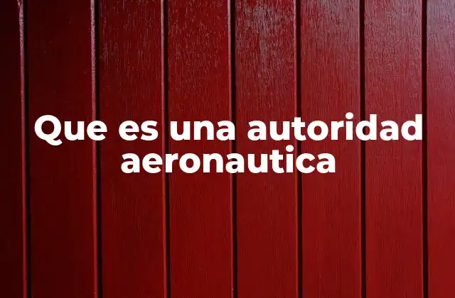 Que es una Autoridad Aeronautica