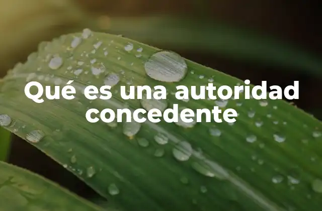 Qué es una Autoridad Concedente