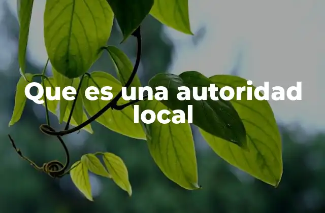 Que es una Autoridad Local