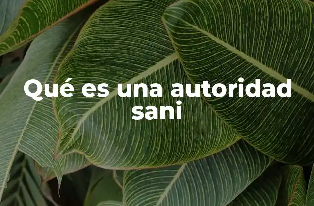 Qué es una Autoridad Sani