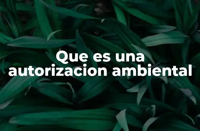 Que es una Autorizacion Ambiental