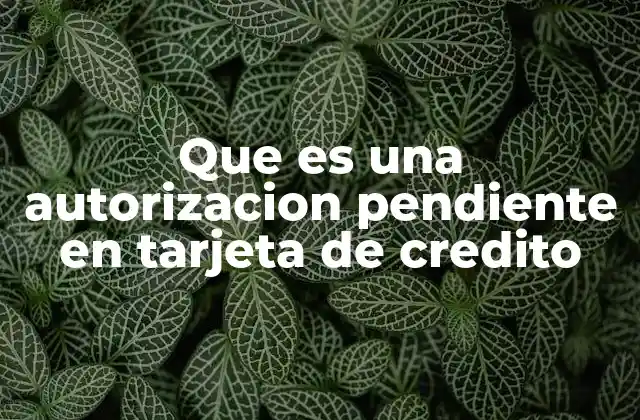 Que es una Autorizacion Pendiente en Tarjeta de Credito