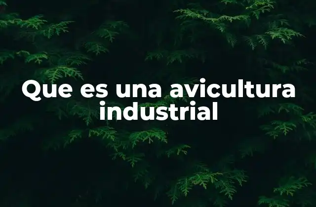 Que es una Avicultura Industrial