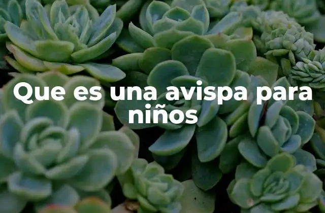 Que es una Avispa para Niños