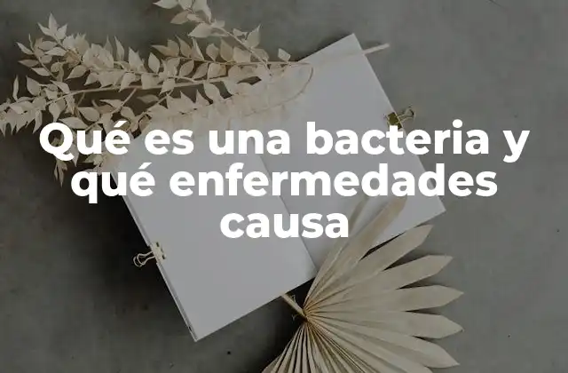 Qué es una Bacteria y Qué Enfermedades Causa 2 El mundo oculto de los microorganismos y su impacto en la salud humana