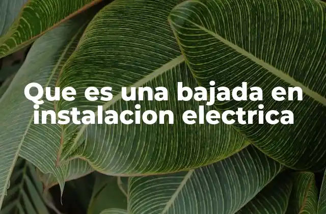 Que es una Bajada en Instalacion Electrica