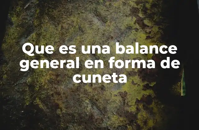 Que es una Balance General en Forma de Cuneta