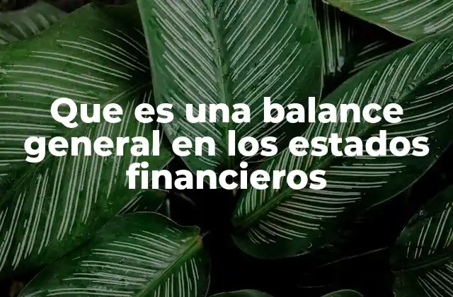 Que es una Balance General en los Estados Financieros