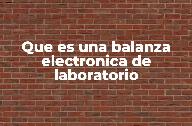 Que es una Balanza Electronica de Laboratorio