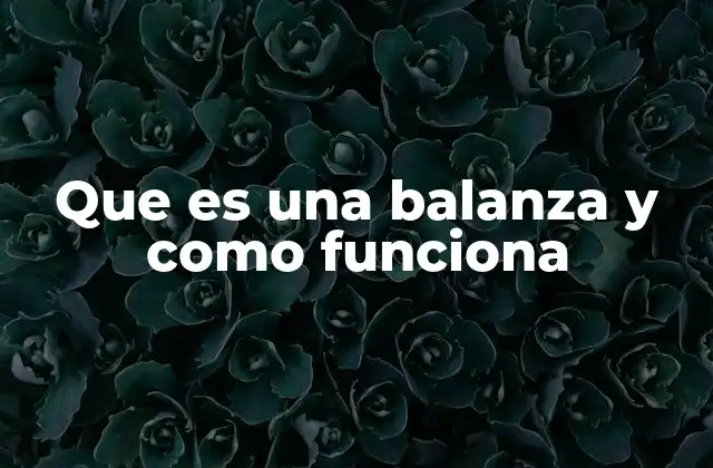 Que es una Balanza y como Funciona