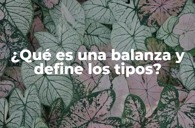 ¿qué es una Balanza y Define los Tipos? 2 Tipos de balanzas según su uso y precisión