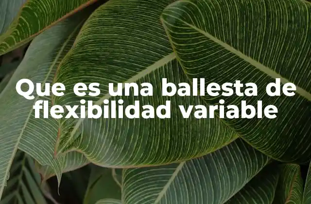 Que es una Ballesta de Flexibilidad Variable 2 Componentes y funcionamiento de las ballestas de suspensión adaptativas