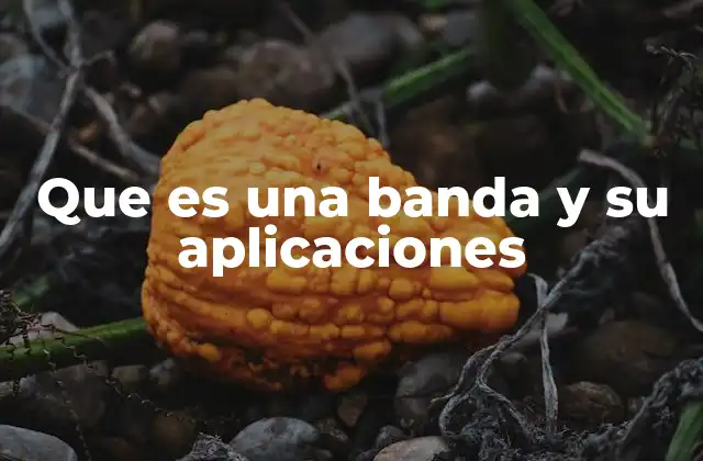 Que es una Banda y Su Aplicaciones