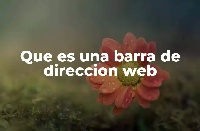 La importancia de la barra de dirección en la navegación por internet