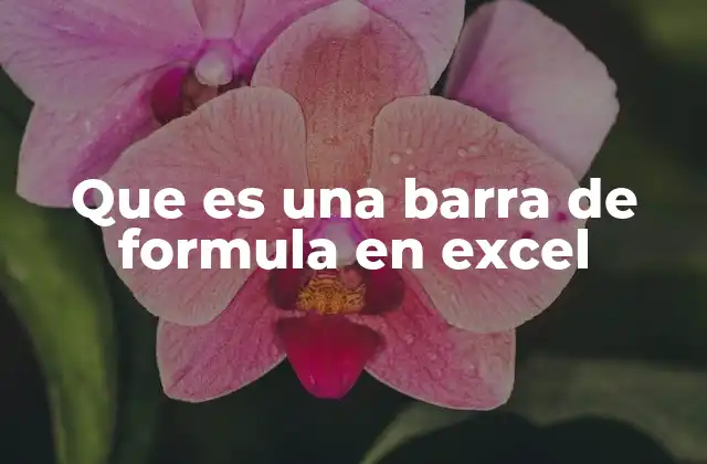 Que es una Barra de Formula en Excel