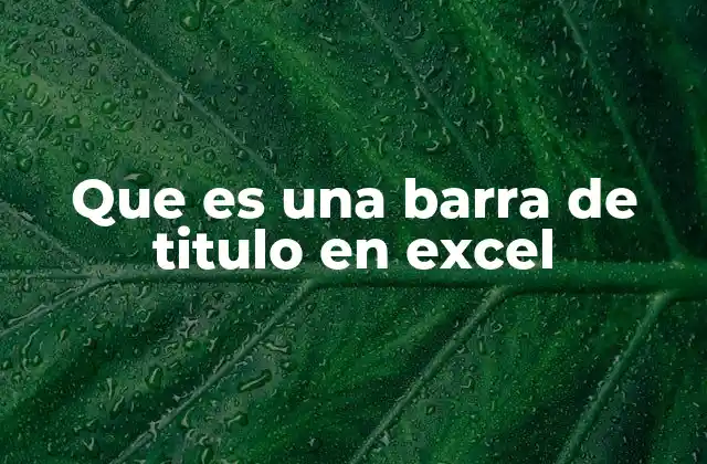 Que es una Barra de Titulo en Excel