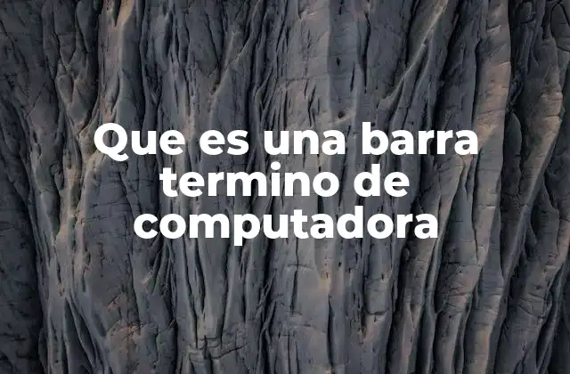 Que es una Barra Termino de Computadora